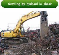 Cutting by hydraulic shear