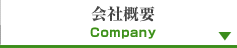 ЊTv