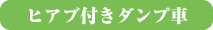qAut_v